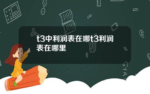 t3中利润表在哪t3利润表在哪里