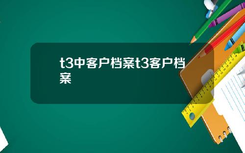 t3中客户档案t3客户档案