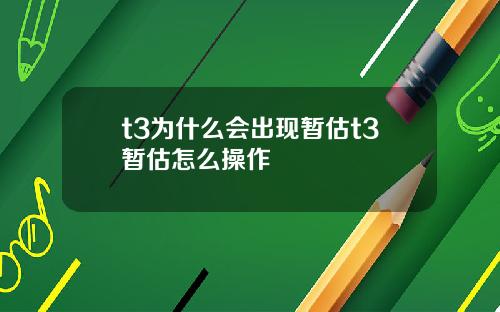 t3为什么会出现暂估t3暂估怎么操作