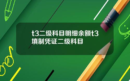t3二级科目明细余额t3填制凭证二级科目
