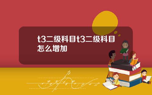t3二级科目t3二级科目怎么增加