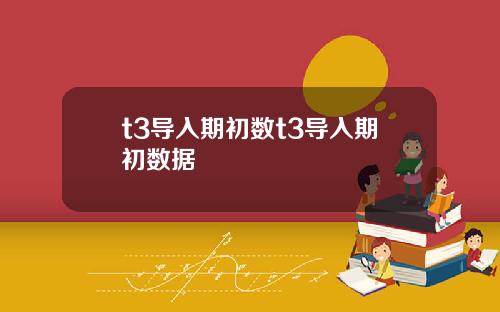 t3导入期初数t3导入期初数据