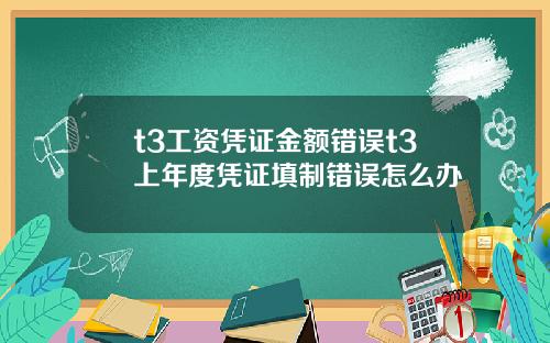 t3工资凭证金额错误t3上年度凭证填制错误怎么办