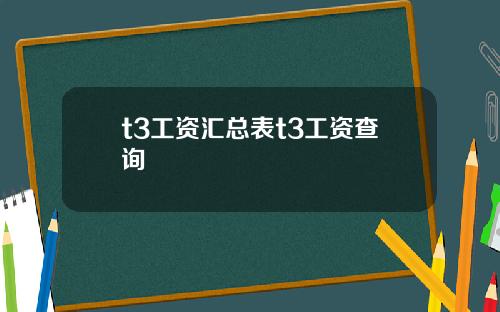t3工资汇总表t3工资查询