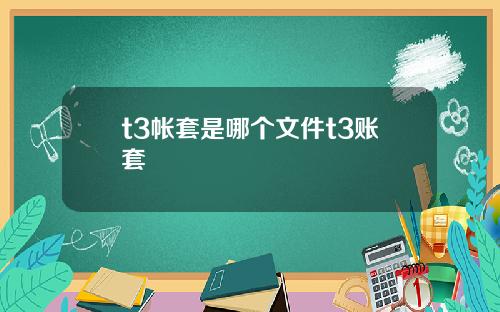 t3帐套是哪个文件t3账套
