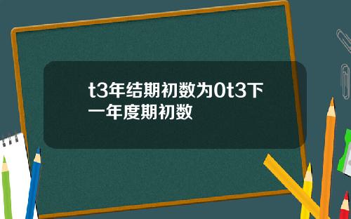 t3年结期初数为0t3下一年度期初数