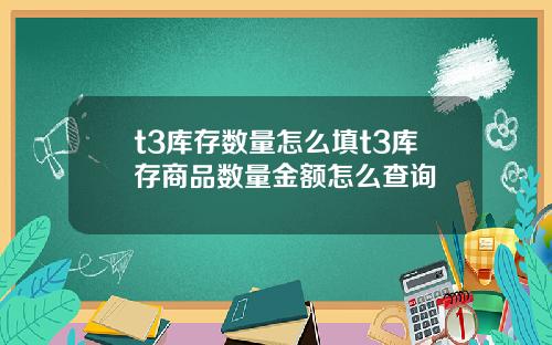 t3库存数量怎么填t3库存商品数量金额怎么查询