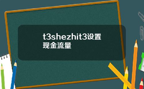 t3shezhit3设置现金流量