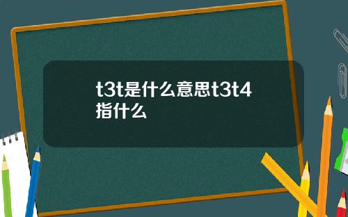 t3t是什么意思t3t4指什么