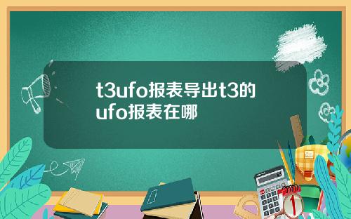 t3ufo报表导出t3的ufo报表在哪