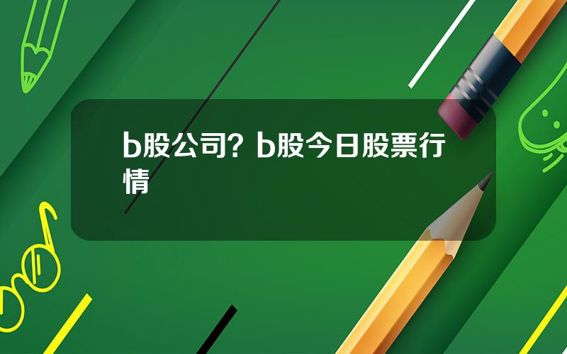b股公司？b股今日股票行情