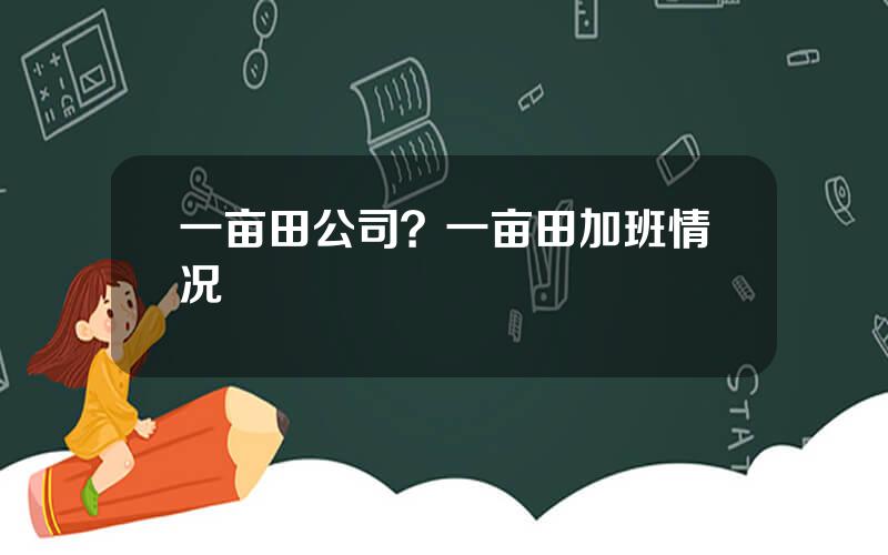 一亩田公司？一亩田加班情况