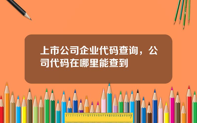 上市公司企业代码查询，公司代码在哪里能查到