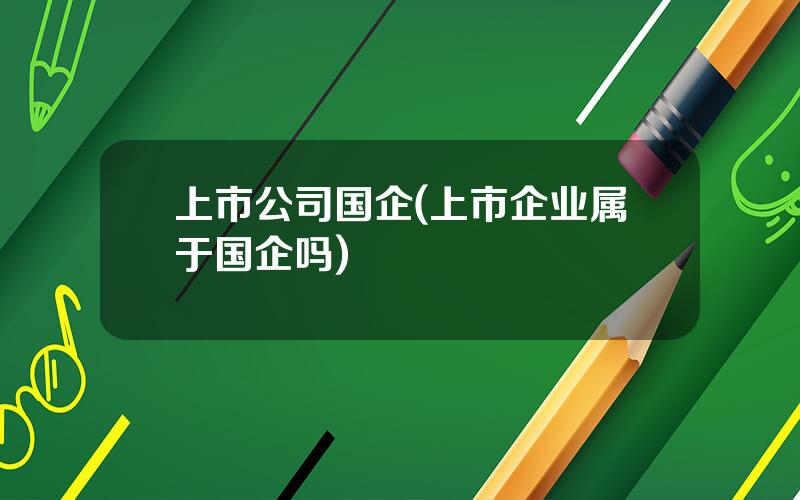 上市公司国企(上市企业属于国企吗)