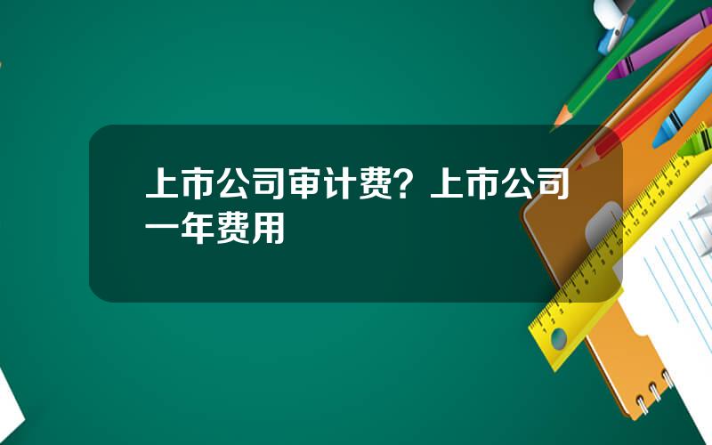上市公司审计费？上市公司一年费用