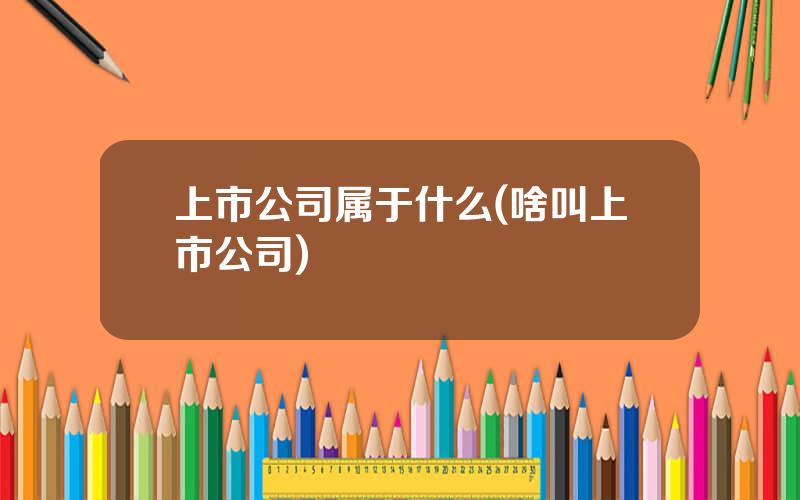 上市公司属于什么(啥叫上市公司)