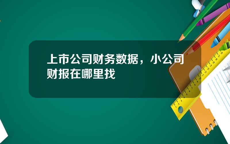上市公司财务数据，小公司财报在哪里找