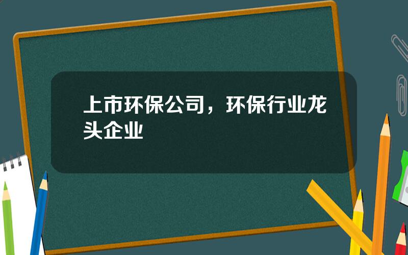 上市环保公司，环保行业龙头企业