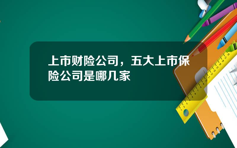 上市财险公司，五大上市保险公司是哪几家