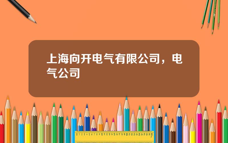 上海向开电气有限公司，电气公司
