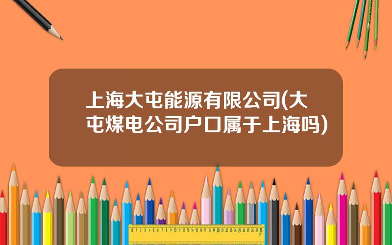 上海大屯能源有限公司(大屯煤电公司户口属于上海吗)