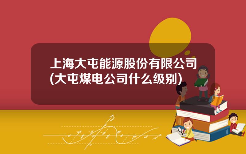 上海大屯能源股份有限公司(大屯煤电公司什么级别)