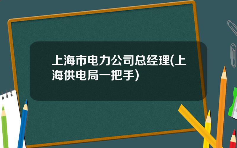 上海市电力公司总经理(上海供电局一把手)