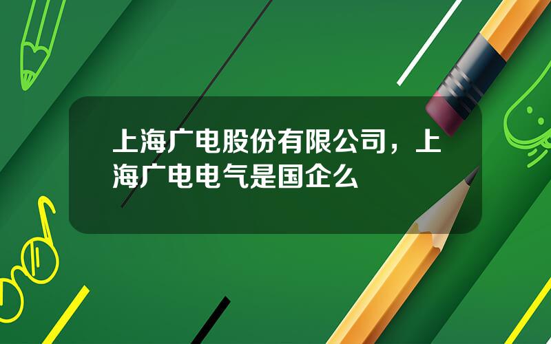 上海广电股份有限公司，上海广电电气是国企么