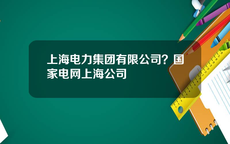 上海电力集团有限公司？国家电网上海公司