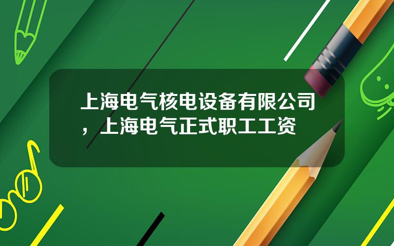 上海电气核电设备有限公司，上海电气正式职工工资