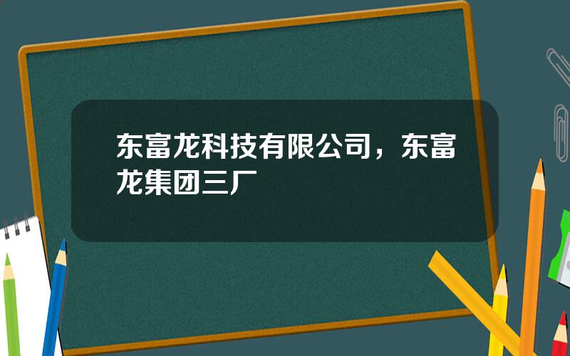 东富龙科技有限公司，东富龙集团三厂