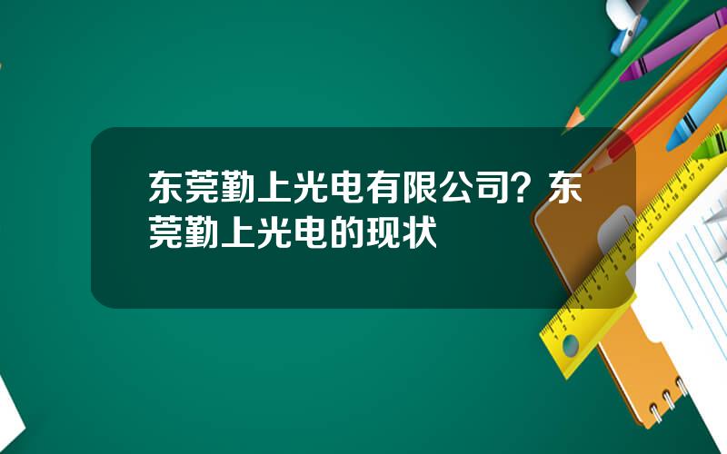 东莞勤上光电有限公司？东莞勤上光电的现状