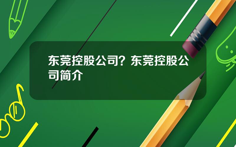 东莞控股公司？东莞控股公司简介