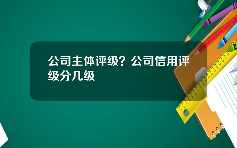 公司主体评级？公司信用评级分几级