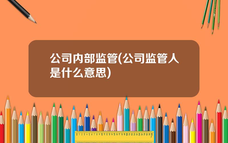 公司内部监管(公司监管人是什么意思)