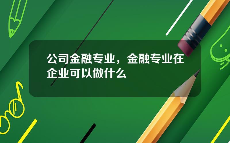 公司金融专业，金融专业在企业可以做什么
