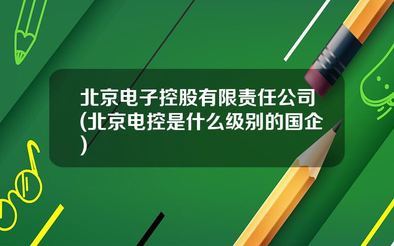 北京电子控股有限责任公司(北京电控是什么级别的国企)