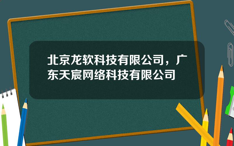 北京龙软科技有限公司，广东天宸网络科技有限公司