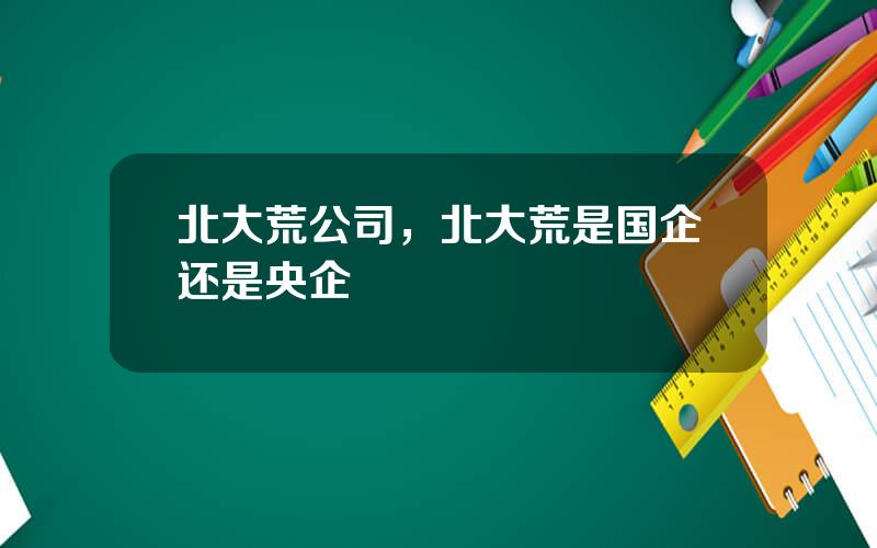 北大荒公司，北大荒是国企还是央企