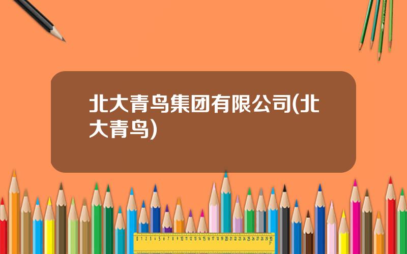 北大青鸟集团有限公司(北大青鸟)