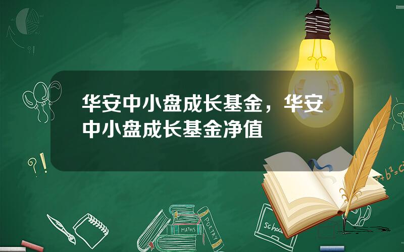 华安中小盘成长基金，华安中小盘成长基金净值