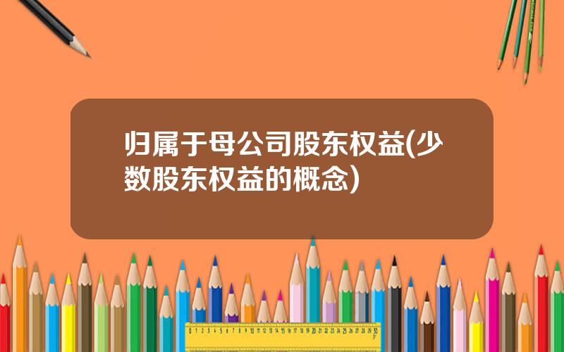 归属于母公司股东权益(少数股东权益的概念)