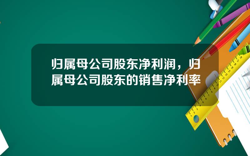 归属母公司股东净利润，归属母公司股东的销售净利率