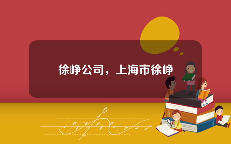 徐峥公司，上海市徐峥