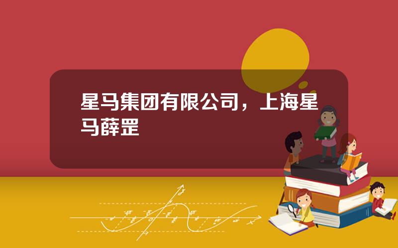 星马集团有限公司，上海星马薛罡