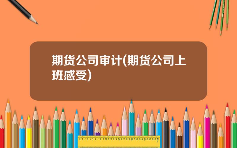 期货公司审计(期货公司上班感受)