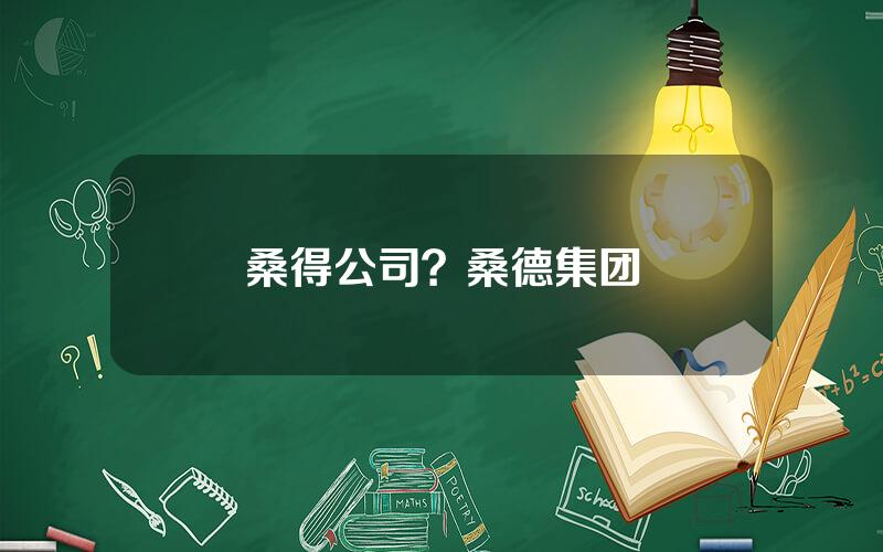 桑得公司？桑德集团