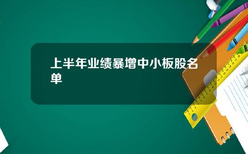 上半年业绩暴增中小板股名单