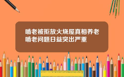 啃老被拒放火烧屋真相养老啃老问题日益突出严重