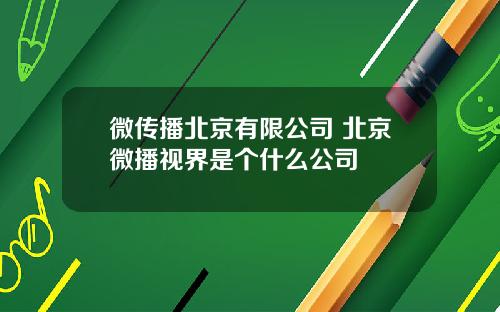 微传播北京有限公司 北京微播视界是个什么公司